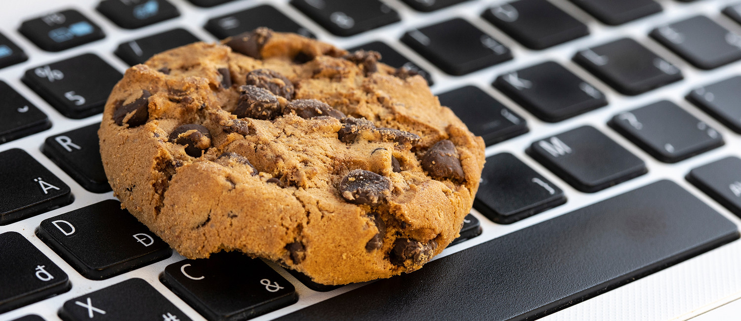 Website Cookie Policy For Border Plaza Hotel